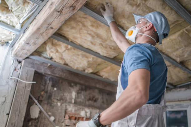 Best Residential Insulation in Snellville, GA